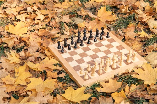 Tournoi d'échecs d'automne de Québec 2026 - 7-8 novembre